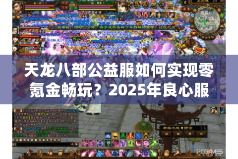 天龙八部公益服如何实现零氪金畅玩？2025年良心服配置全解析