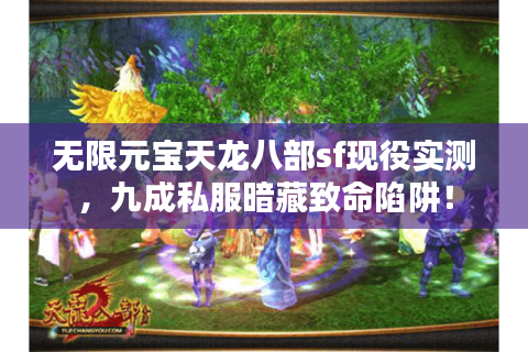 无限元宝天龙八部sf现役实测，九成私服暗藏致命陷阱！