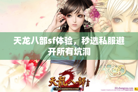 天龙八部sf体验，秒选私服避开所有坑洞