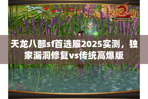 天龙八部sf首选服2025实测，独家漏洞修复vs传统高爆版