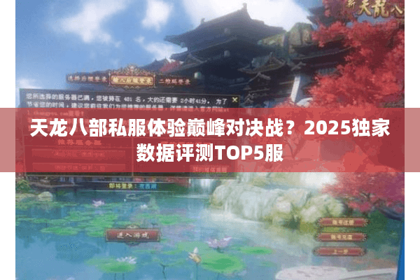 天龙八部私服体验巅峰对决战？2025独家数据评测TOP5服