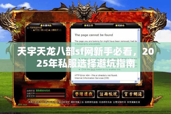 天宇天龙八部sf网新手必看，2025年私服选择避坑指南