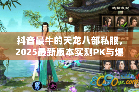 抖音最牛的天龙八部私服，2025最新版本实测PK与爆款推荐