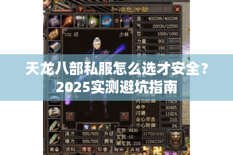 天龙八部私服怎么选才安全?2025实测避坑指南 天龙八部私服怎么选才安全?2025实测避坑指南
