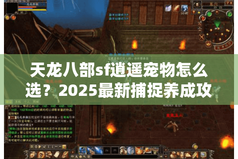 天龙八部sf逍遥宠物怎么选？2025最新捕捉养成攻略