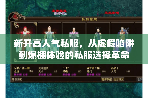 新开高人气私服,从虚假陷阱到爆棚体验的私服选择革命 新开高人气私服,从虚假陷阱到爆棚体验的私服选择革命