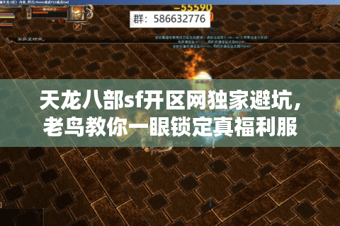 天龙八部sf开区网独家避坑,老鸟教你一眼锁定真福利服 天龙八部sf开区网独家避坑,老鸟教你一眼锁定真福利服