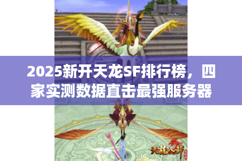 2025新开天龙SF排行榜，四家实测数据直击最强服务器