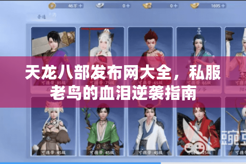 天龙八部发布网大全，私服老鸟的血泪逆袭指南