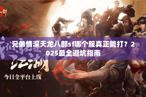 兄弟情深天龙八部sf哪个服真正能打？2025最全避坑指南