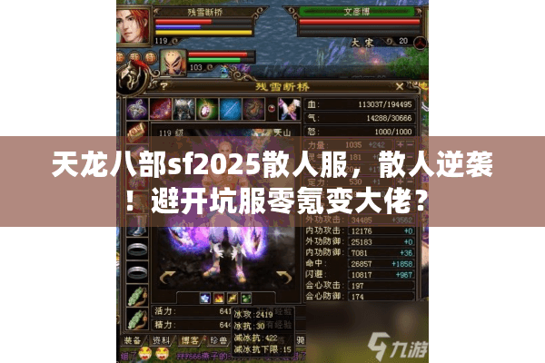 天龙八部sf2025散人服，散人逆袭！避开坑服零氪变大佬？