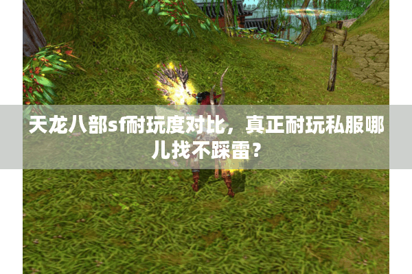 天龙八部sf耐玩度对比,真正耐玩私服哪儿找不踩雷? 天龙八部sf耐玩度对比,真正耐玩私服哪儿找不踩雷?