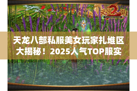 天龙八部私服美女玩家扎堆区大揭秘！2025人气TOP服实测