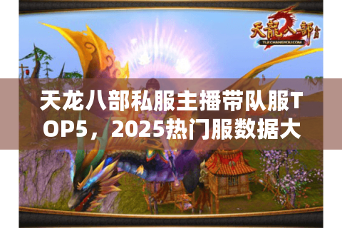 天龙八部私服主播带队服TOP5,2025热门服数据大起底 天龙八部私服主播带队服TOP5,2025热门服数据大起底