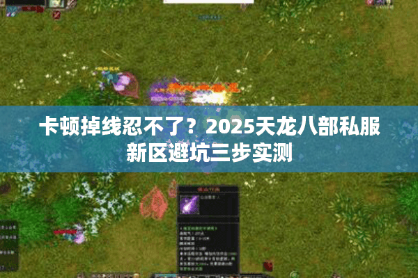 卡顿掉线忍不了？2025天龙八部私服新区避坑三步实测