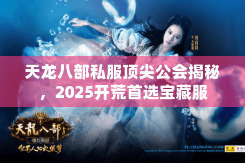 天龙八部私服顶尖公会揭秘，2025开荒首选宝藏服