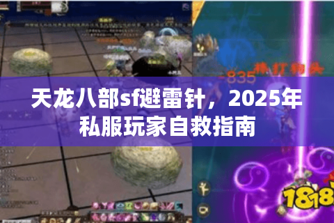 天龙八部sf避雷针，2025年私服玩家自救指南