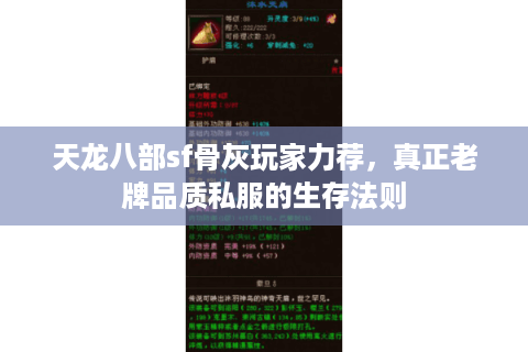 天龙八部sf骨灰玩家力荐，真正老牌品质私服的生存法则