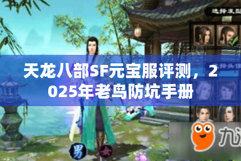 天龙八部SF元宝服评测，2025年老鸟防坑手册