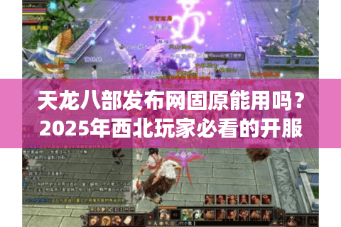 天龙八部发布网固原能用吗？2025年西北玩家必看的开服攻略