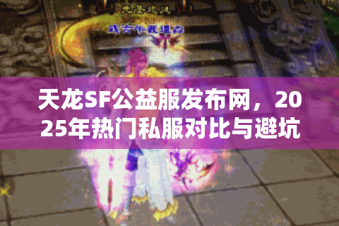 天龙SF公益服发布网，2025年热门私服对比与避坑秘笈