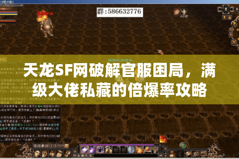 天龙SF网破解官服困局，满级大佬私藏的倍爆率攻略