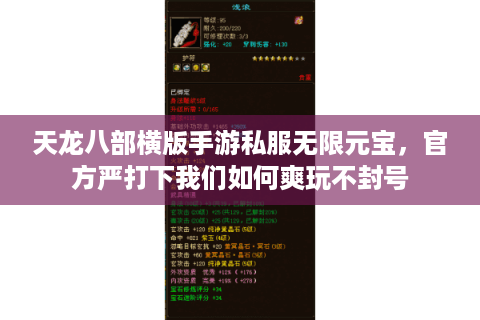 天龙八部横版手游私服无限元宝，官方严打下我们如何爽玩不封号