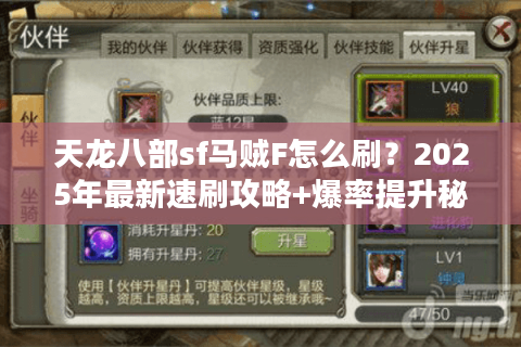 天龙八部sf马贼F怎么刷？2025年最新速刷攻略+爆率提升秘籍