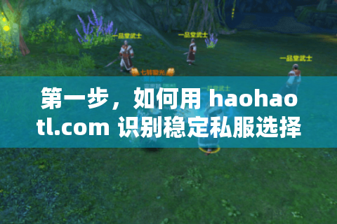 第一步，如何用 haohaotl.com 识别稳定私服选择