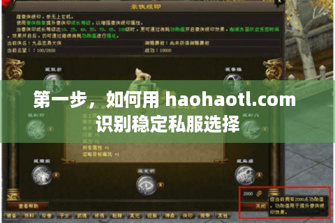 第一步，如何用 haohaotl.com 识别稳定私服选择