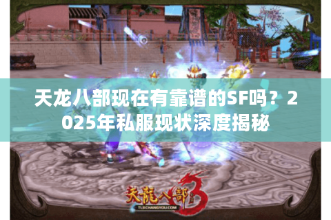 天龙八部现在有靠谱的SF吗？2025年私服现状深度揭秘