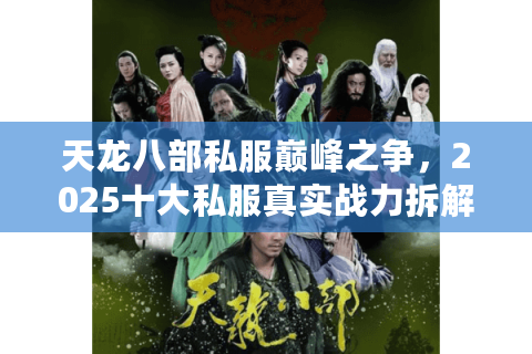天龙八部私服巅峰之争，2025十大私服真实战力拆解