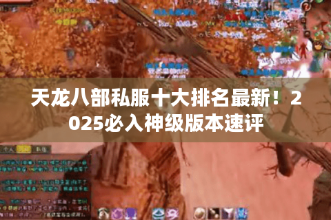 天龙八部私服十大排名最新！2025必入神级版本速评