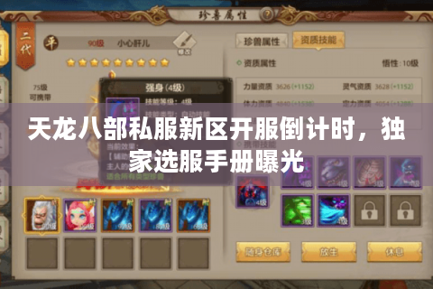 天龙八部私服新区开服倒计时，独家选服手册曝光