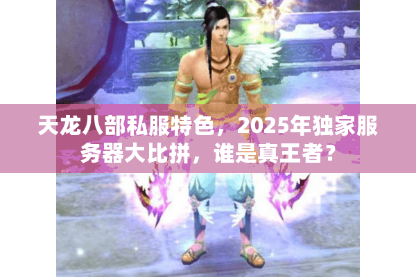 天龙八部私服特色，2025年独家服务器大比拼，谁是真王者？