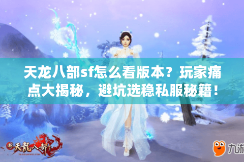 天龙八部sf怎么看版本？玩家痛点大揭秘，避坑选稳私服秘籍！