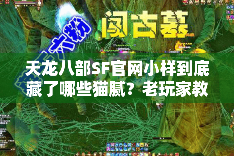 天龙八部SF官网小样到底藏了哪些猫腻？老玩家教你避开陷阱选真香服