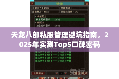 天龙八部私服管理避坑指南，2025年实测Top5口碑密码