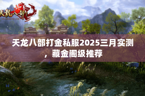 天龙八部打金私服2025三月实测,藏金阁级推荐 天龙八部打金私服2025三月实测,藏金阁级推荐