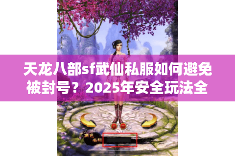 天龙八部sf武仙私服如何避免被封号？2025年安全玩法全解析