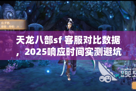 天龙八部sf 客服对比数据，2025响应时间实测避坑指南
