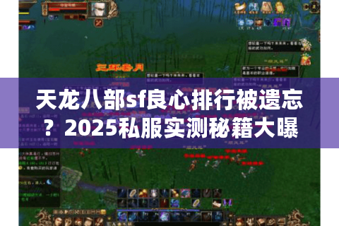 天龙八部sf良心排行被遗忘？2025私服实测秘籍大曝光