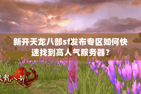 新开天龙八部sf发布专区如何快速找到高人气服务器？
