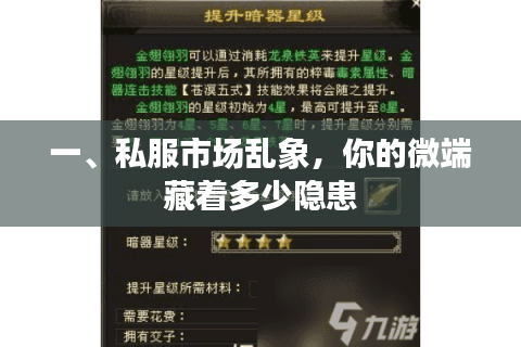 一、私服市场乱象，你的微端藏着多少隐患