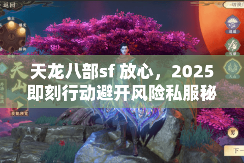 天龙八部sf 放心,2025即刻行动避开风险私服秘诀 天龙八部sf 放心,2025即刻行动避开风险私服秘诀