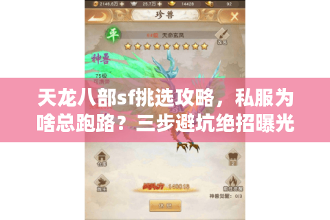 天龙八部sf挑选攻略,私服为啥总跑路?三步避坑绝招曝光 天龙八部sf挑选攻略,私服为啥总跑路?三步避坑绝招曝光