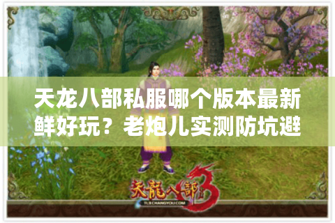 天龙八部私服哪个版本最新鲜好玩？老炮儿实测防坑避雷指南