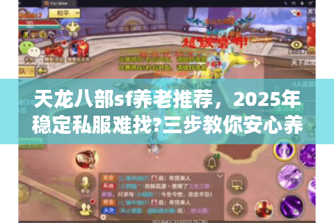 天龙八部sf养老推荐,2025年稳定私服难找?三步教你安心养老不踩坑 天龙八部sf养老推荐,2025年稳定私服难找?三步教你安心养老不踩坑