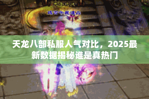 天龙八部私服人气对比，2025最新数据揭秘谁是真热门