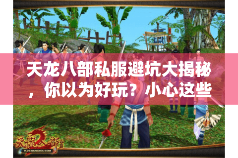 天龙八部私服避坑大揭秘,你以为好玩?小心这些坑! 天龙八部私服避坑大揭秘,你以为好玩?小心这些坑!